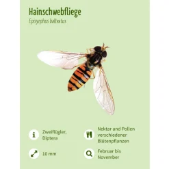 Leporello Insekten - Das Who-is-Who des Insektensommers