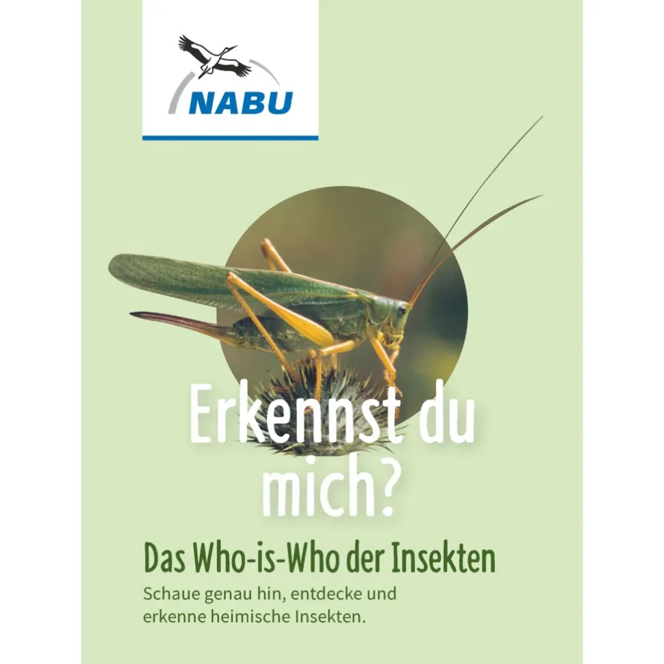 Leporello Insekten - Das Who-is-Who des Insektensommers