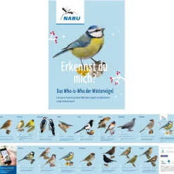 Leporello Wintervögel