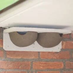 Mehlschwalbennest, doppelt