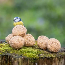Meisenknödel mit Insektenfett, 6 Stück