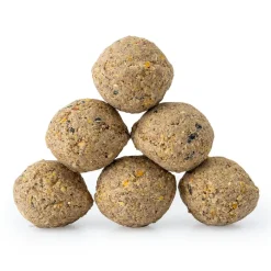 Meisenknödel mit Insektenfett, 6 Stück
