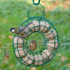 Meisenknödel mit Mehlwürmern, 6 Stück