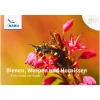 NABU aktiv: Bienen, Wespen und Hornissen – Kein Grund zur Panik