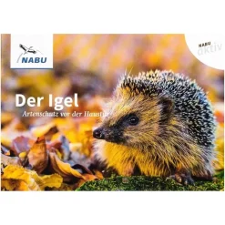 NABU aktiv: Der Igel - Artenschutz vor der Haustür