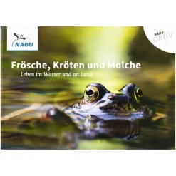 NABU aktiv: „Frösche, Kröten, Molche“