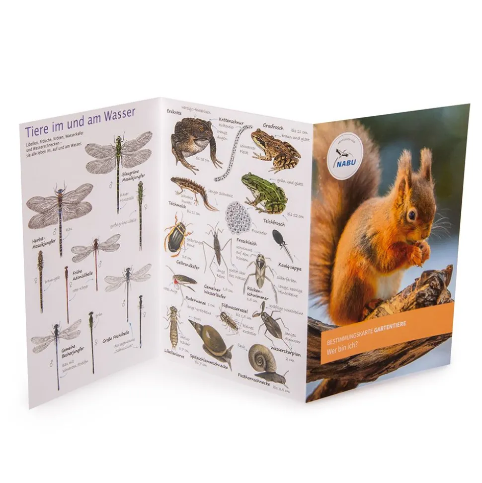 NABU Bestimmungskarte: Gartentiere