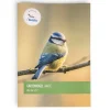NABU Bestimmungskarte: Gartenvögel