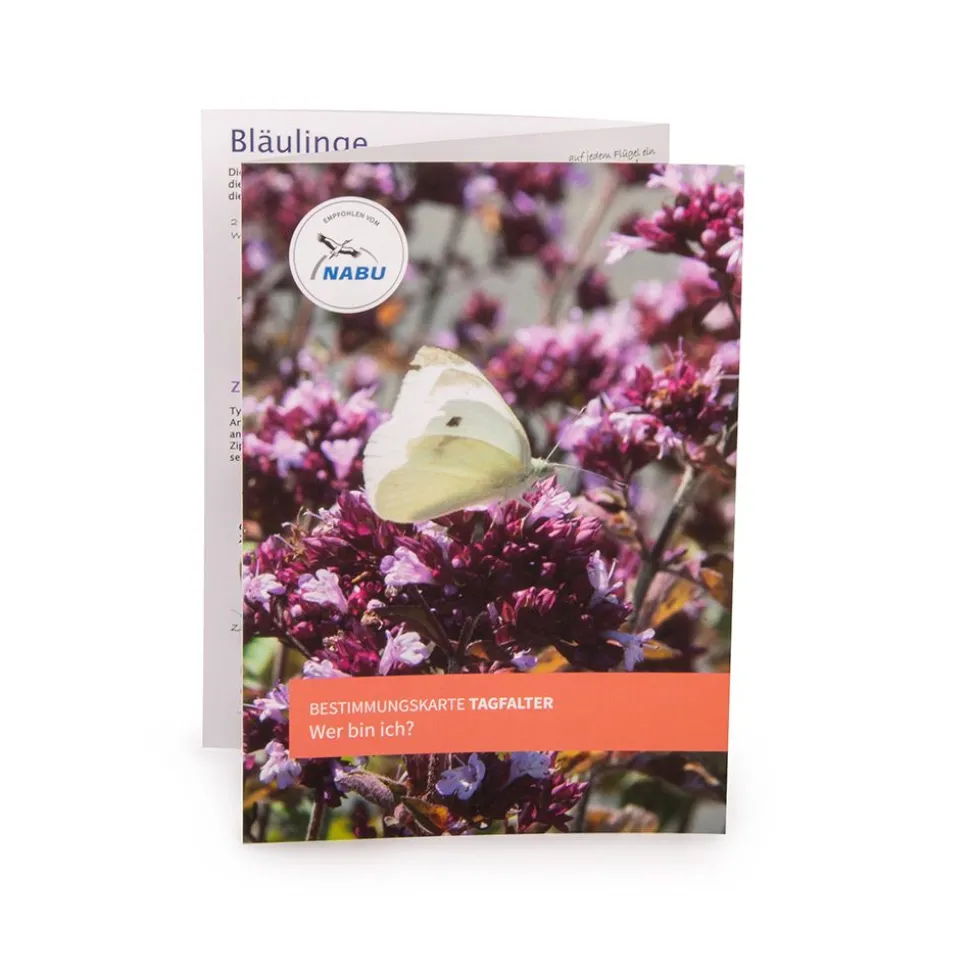 NABU Bestimmungskarte: Schmetterlinge