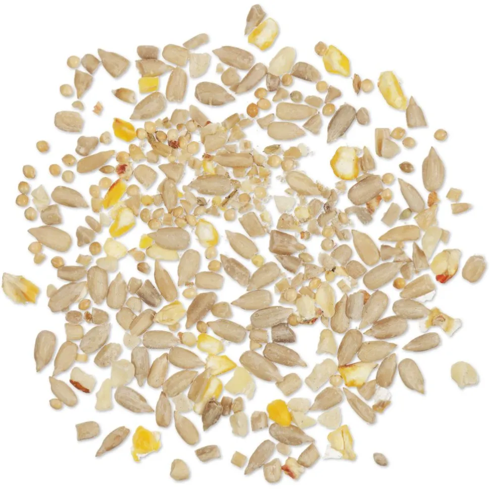 NABU Energiereiche Samen Plus, 1 - 10 kg