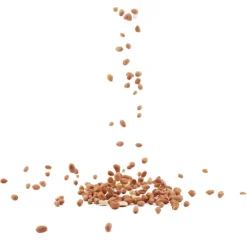 NABU Premium-Erdnüsse, 1 - 2 kg