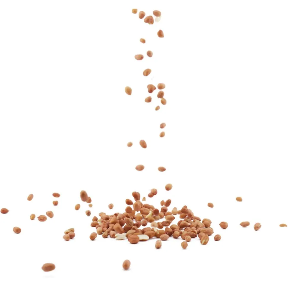NABU Premium-Erdnüsse, 1 - 2 kg