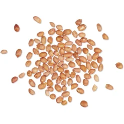 NABU Premium-Erdnüsse, 1 - 2 kg