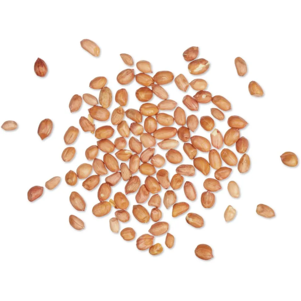 NABU Premium-Erdnüsse, 1 - 2 kg