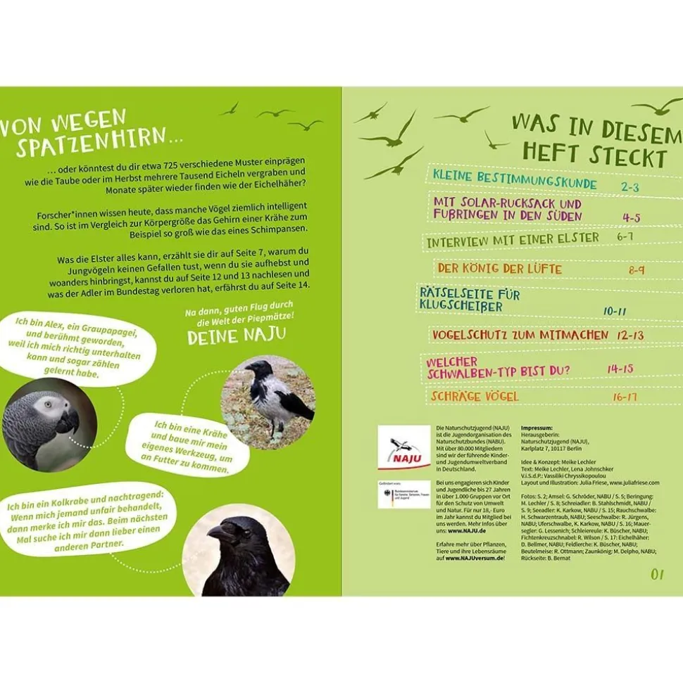 NAJUversum: Vögel