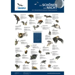 Poster „Die Schönen der Nacht. 25 in Deutschland heimische Fledermausarten