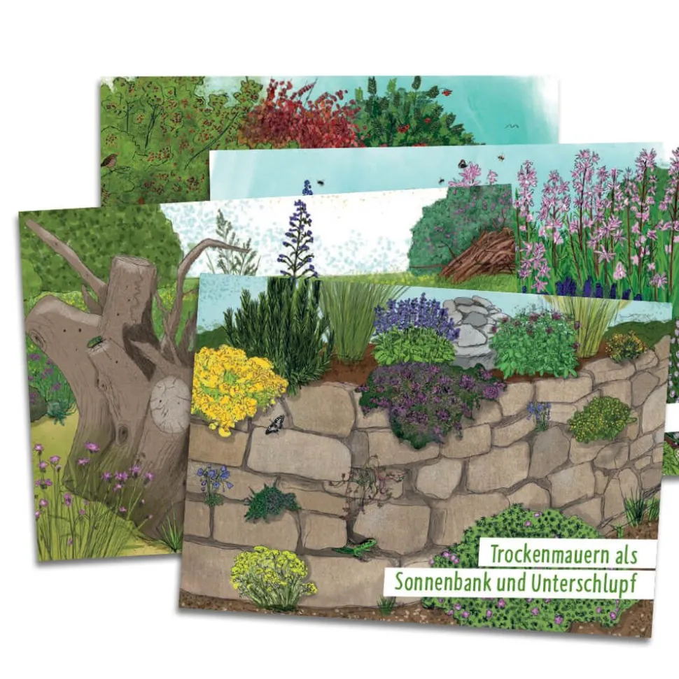Postkartenset ‚‚Gartentipps‘‘ (10 Stück)
