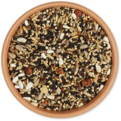 Premium Sommerfutter 2,5 kg