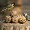 Premium-Meisenknödel, 6 Stück