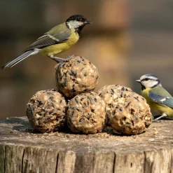 Premium-Meisenknödel, 6 Stück