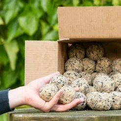 Premium-Meisenknödel, 50 Stück im Karton