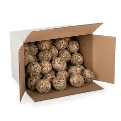 Premium-Meisenknödel, 50 Stück im Karton