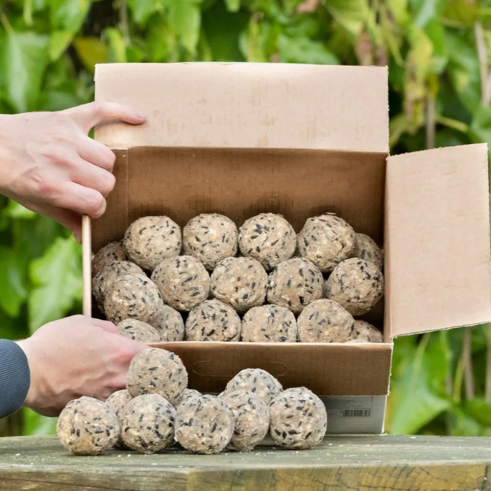 Premium-Meisenknödel, 50 Stück im Karton