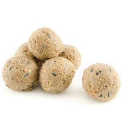 Premium-Meisenknödel mit Insekten, 6 Stück