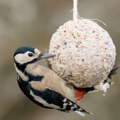Riesen-Meisenknödel mit Insekten (mit Kordel), 450 g