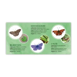 Schmetterlingsbestimmungshilfe