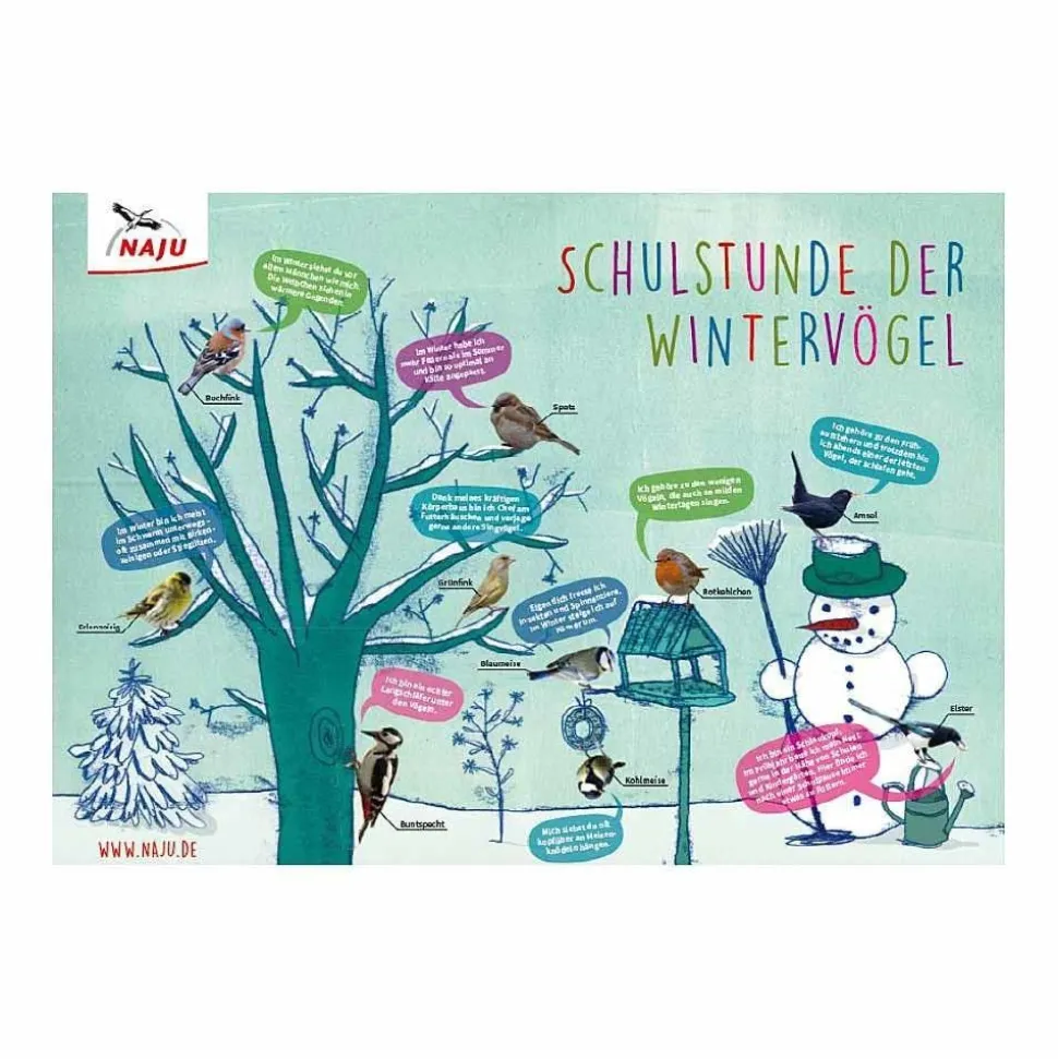 Schulstunde der Wintervögel: Poster