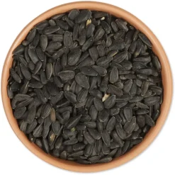 Schwarze Sonnenblumenkerne, 1 - 10 kg