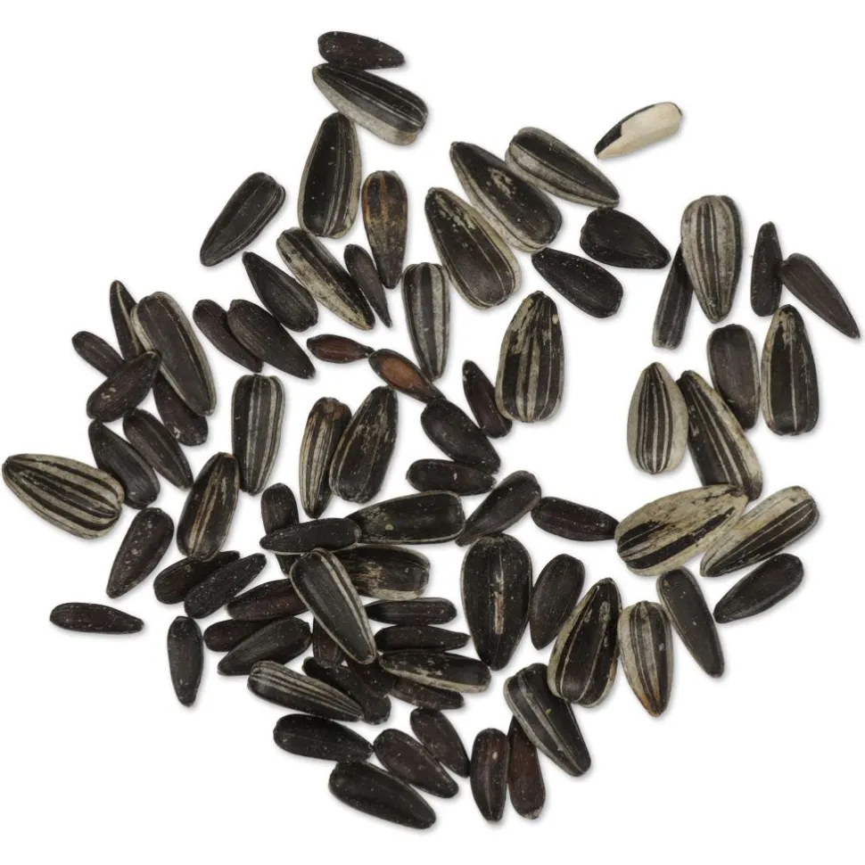 Schwarze Sonnenblumenkerne, 1 - 10 kg