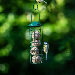 Starter-Set mit 6 Insektenfett-Meisenknödeln und Halter