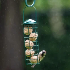 Starter-Set mit 6 Insektenfett-Meisenknödeln und Halter