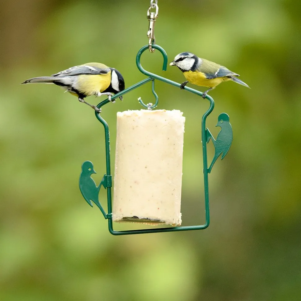 Starter-Set mit Energiekuchenhalter und 3 Energiekuchen