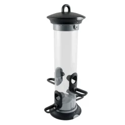 Starter-Set mit Saaten-Futtersäule Apollo und passendem Futter