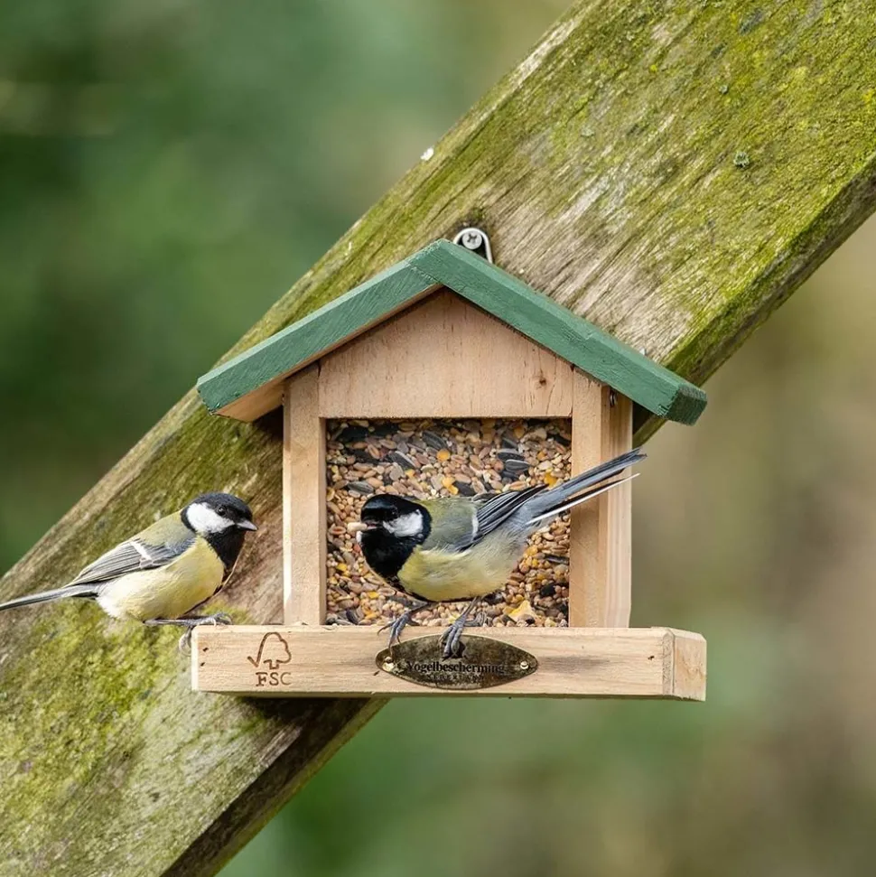 Starter-Set mit Wandfutterhaus und Sommerfutter
