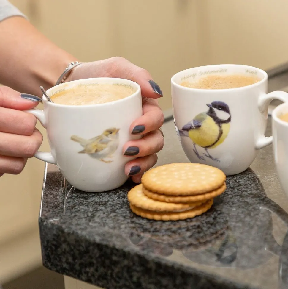 Tasse Haussperling