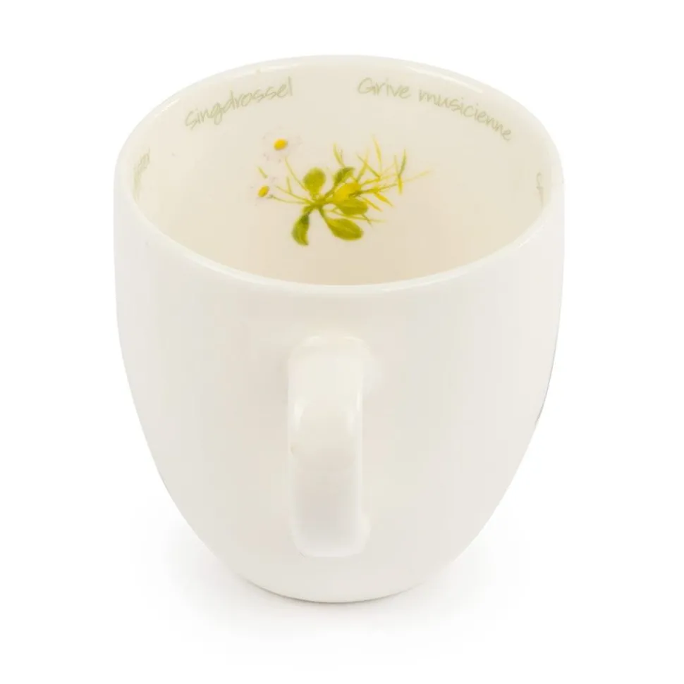 Tasse Singdrossel