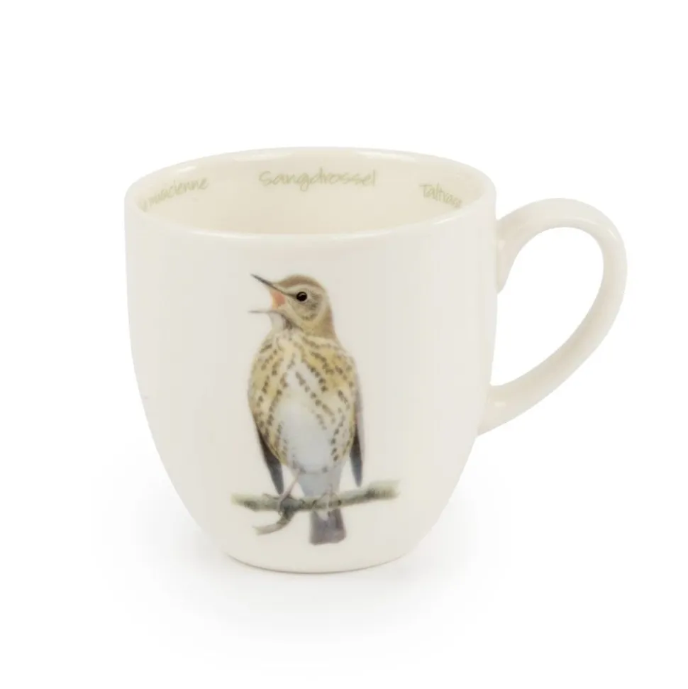 Tasse Singdrossel