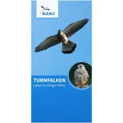 Turmfalken