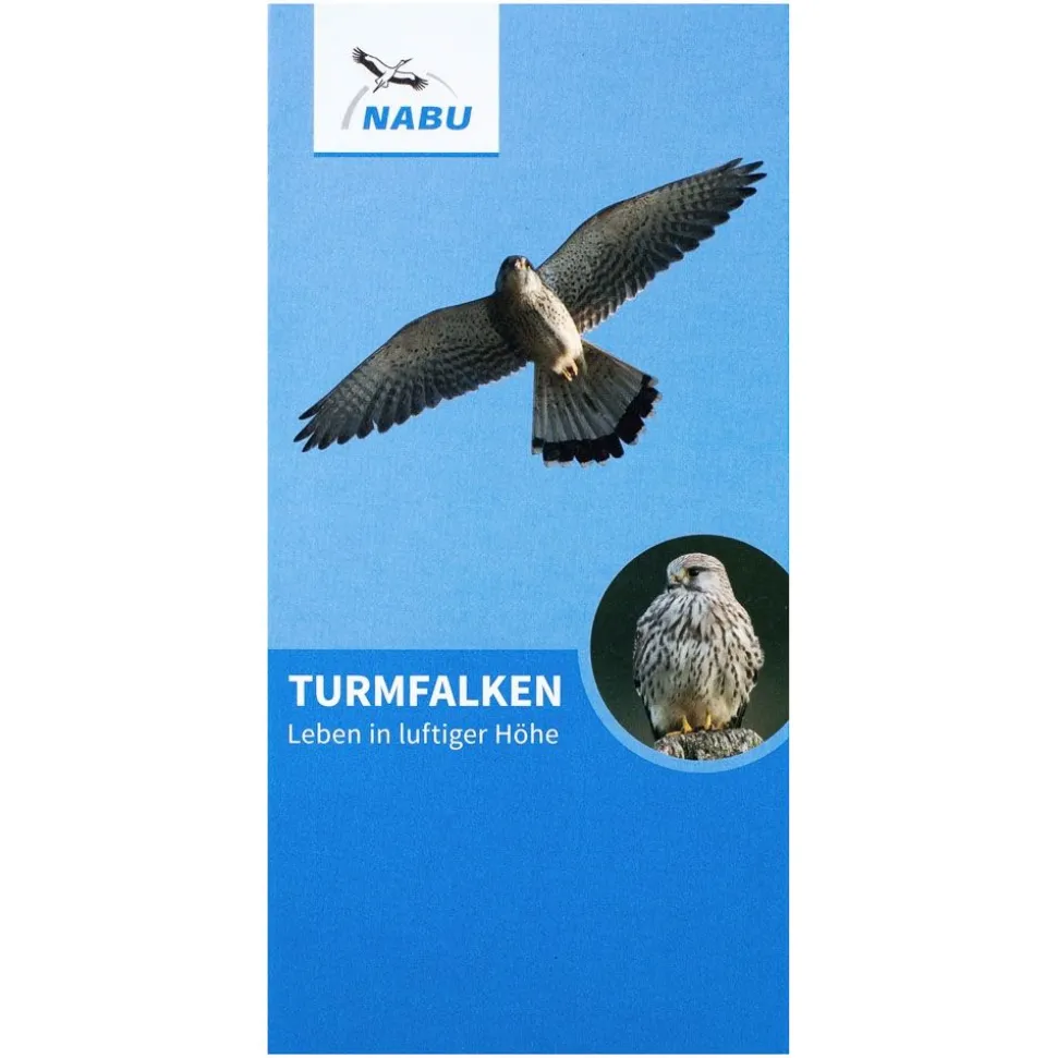 Turmfalken