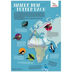 Vogelzug - Immer dem Futter nach! (Poster)