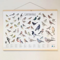 Wandkarte Gartenvögel