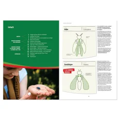Who the Bug: Insekten entdecken, bestimmen und schützen