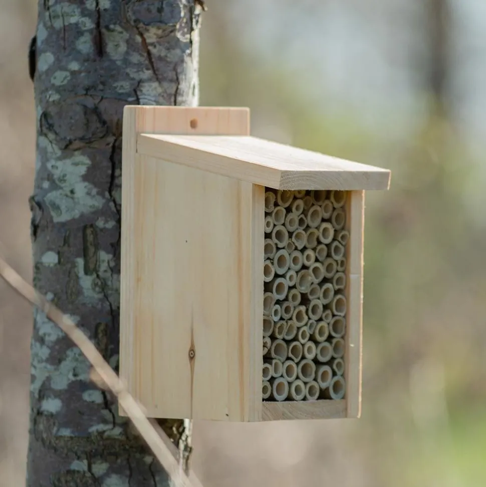 Wildbienenhotel Santiago