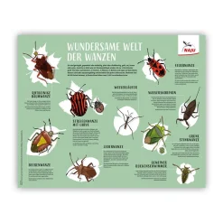 Wundersame Welt der Wanzen: Poster